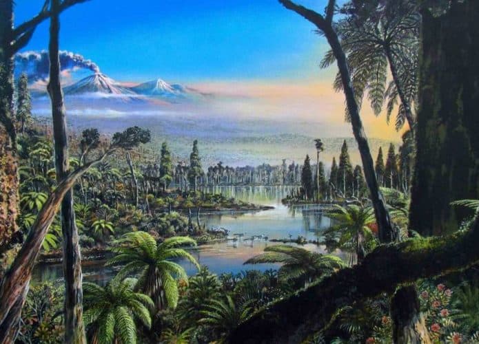 floresta-1-695x500