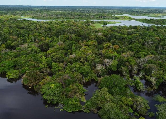 floresta-amazonica-1-695x500