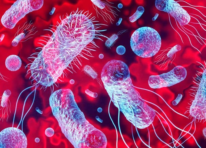 imagem mostra várias bactérias dentro do corpo humano