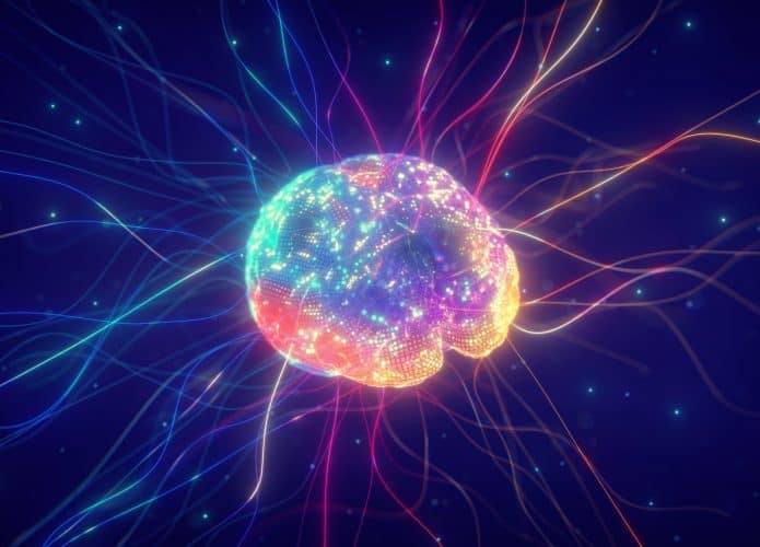 Imagem do cérebro representando conceito de neuroplasticidade