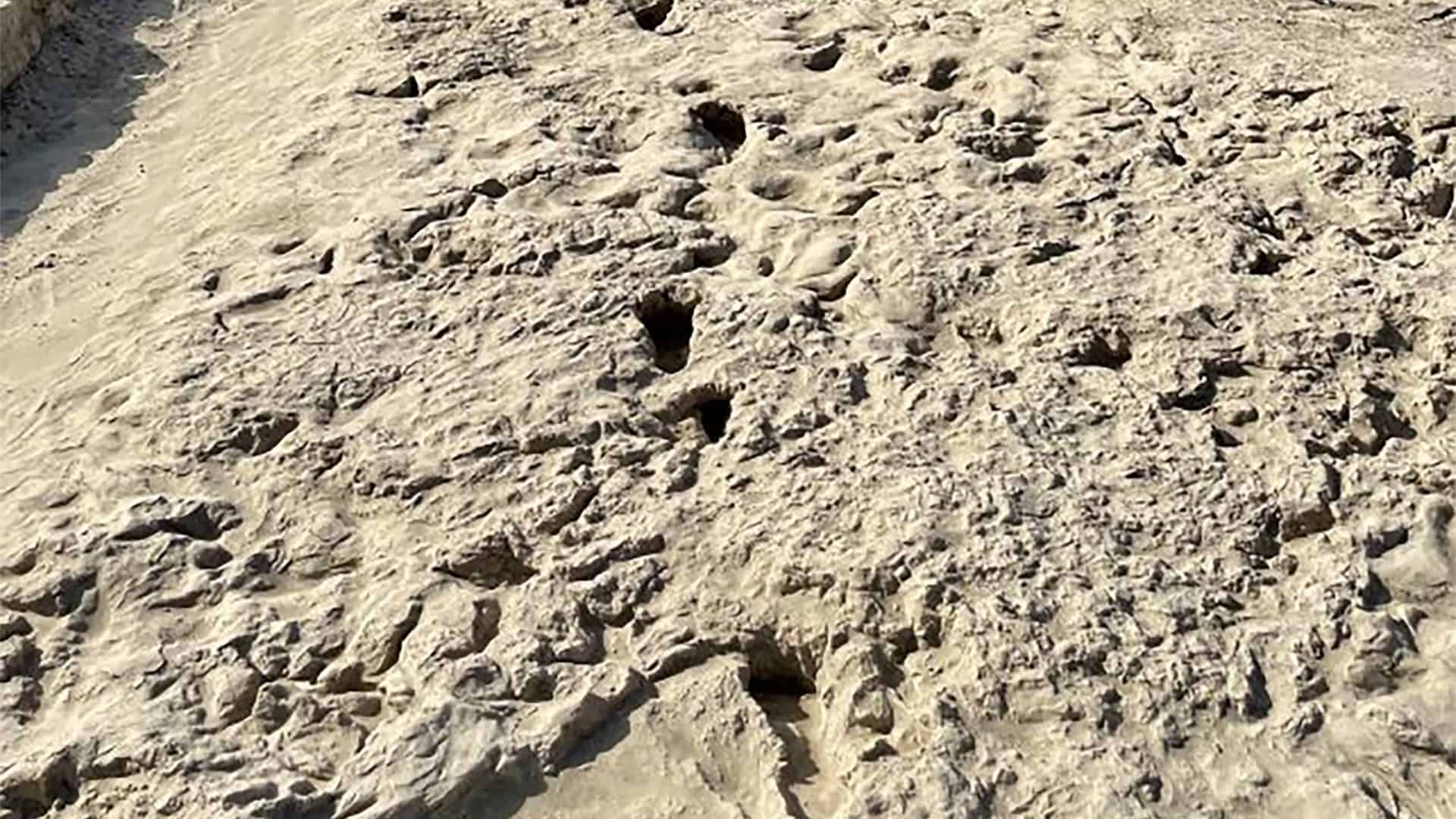 pegada-fossil-1920x1080