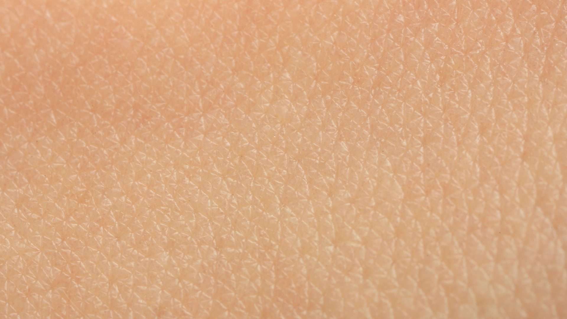 Detalhe da pele humana