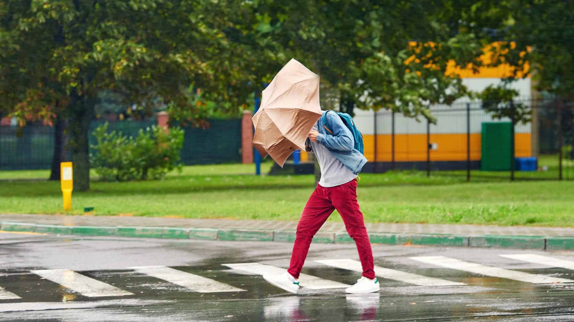 Chuva e vento dificultam a vida do pedestre