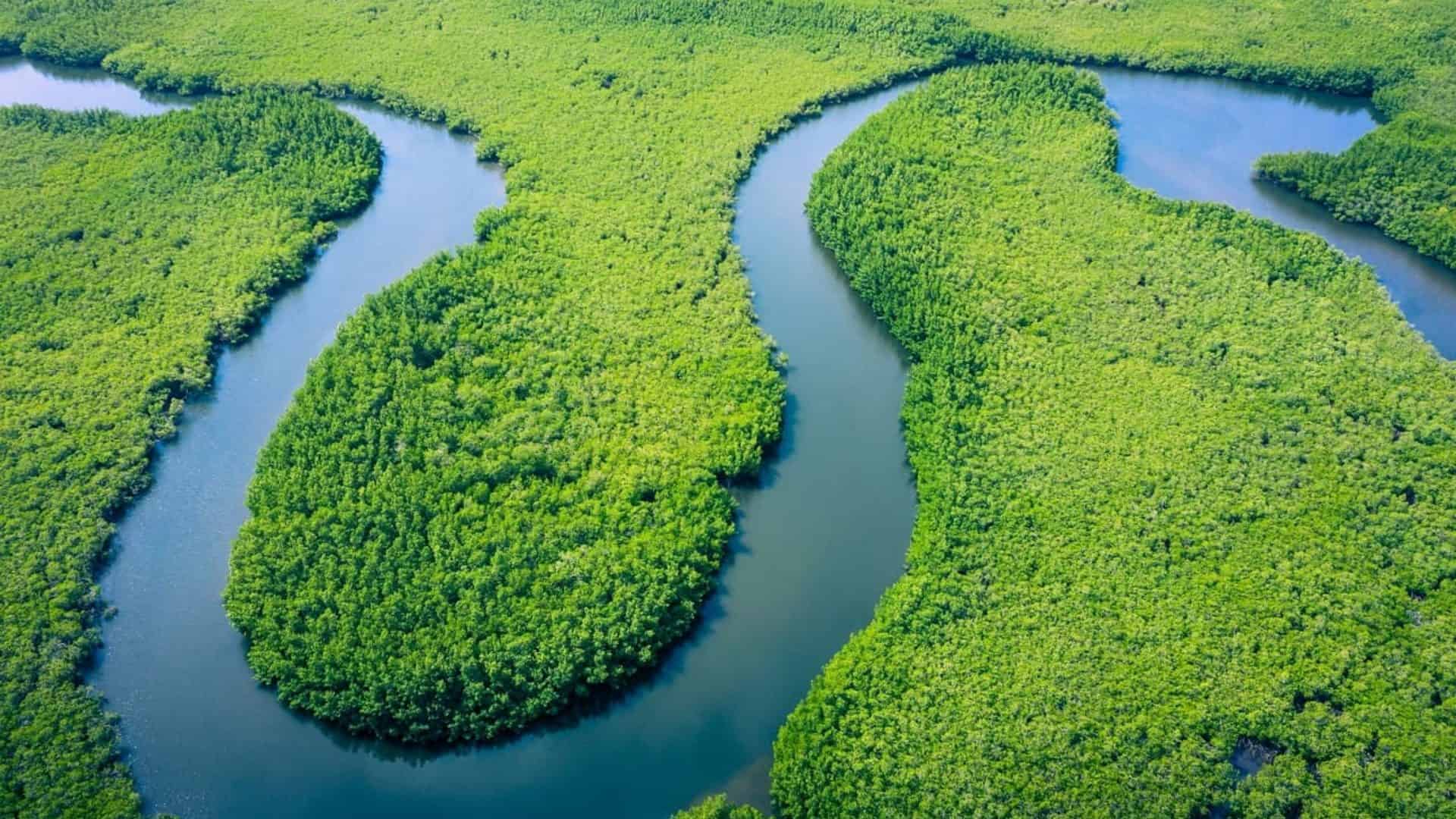 Floresta amazônica e um rio cruzando-a