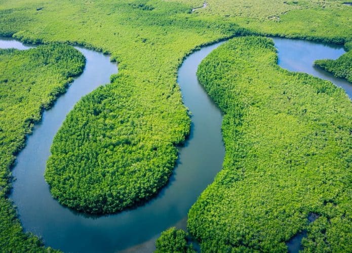 Floresta amazônica e um rio cruzando-a
