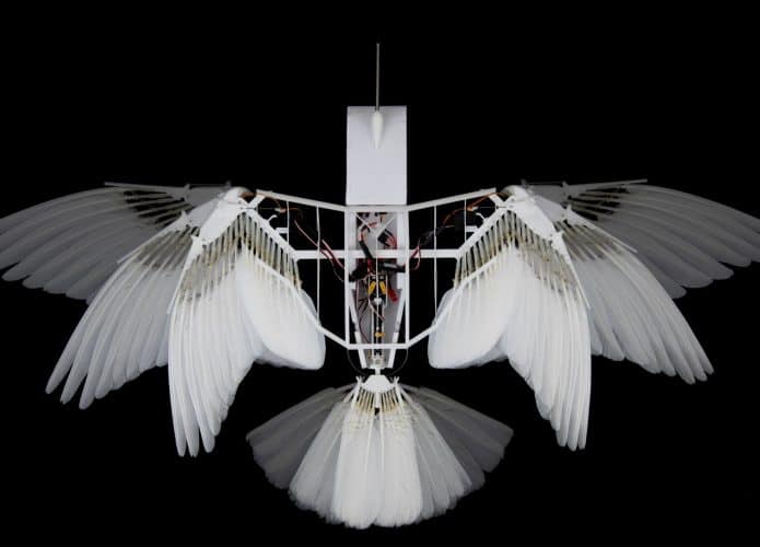 robot-flies-like-a-bir-695x500