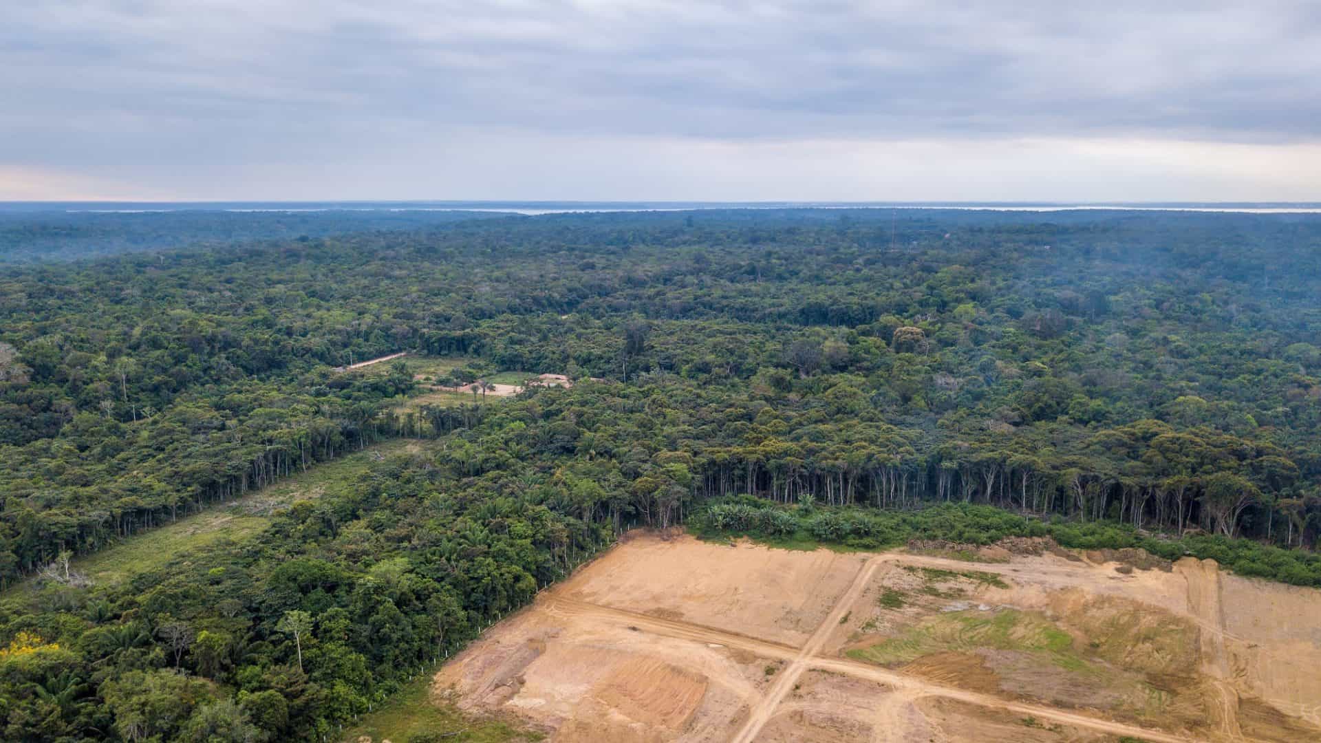 desmatamento na Amazônia