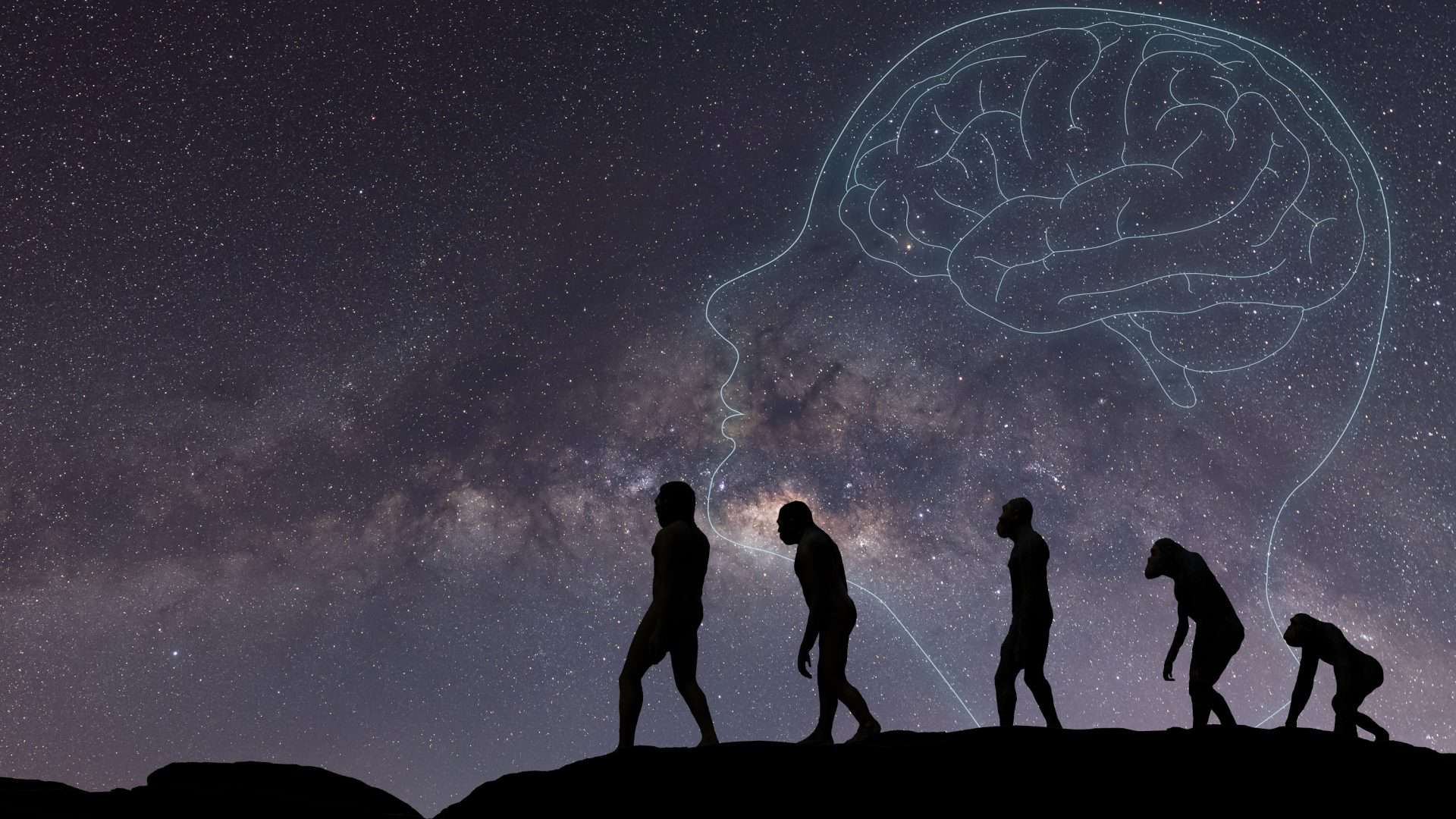 Imagem representando homo sapiens caminhando juntos, em alusão à evolução humana