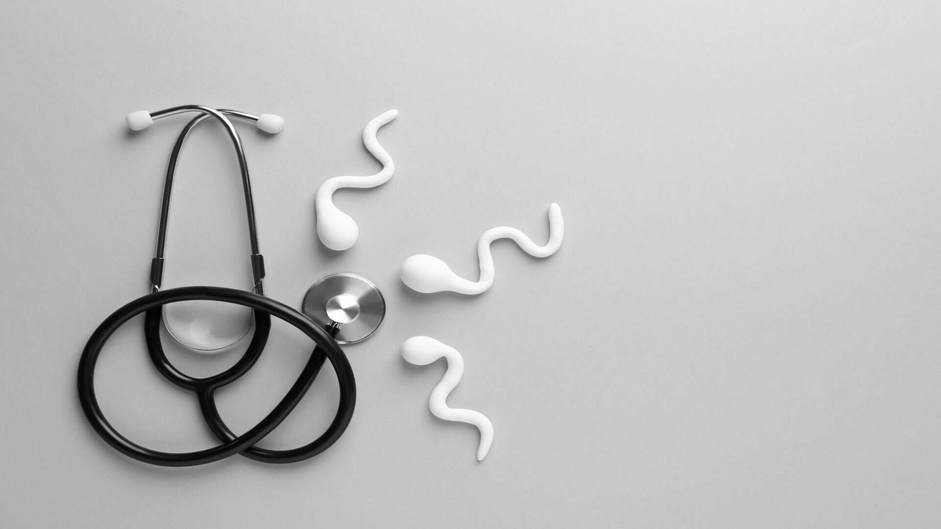 Medicina reprodutiva. Figuras de células espermáticas e estetoscópio em fundo cinza, disposição plana com espaço para texto.