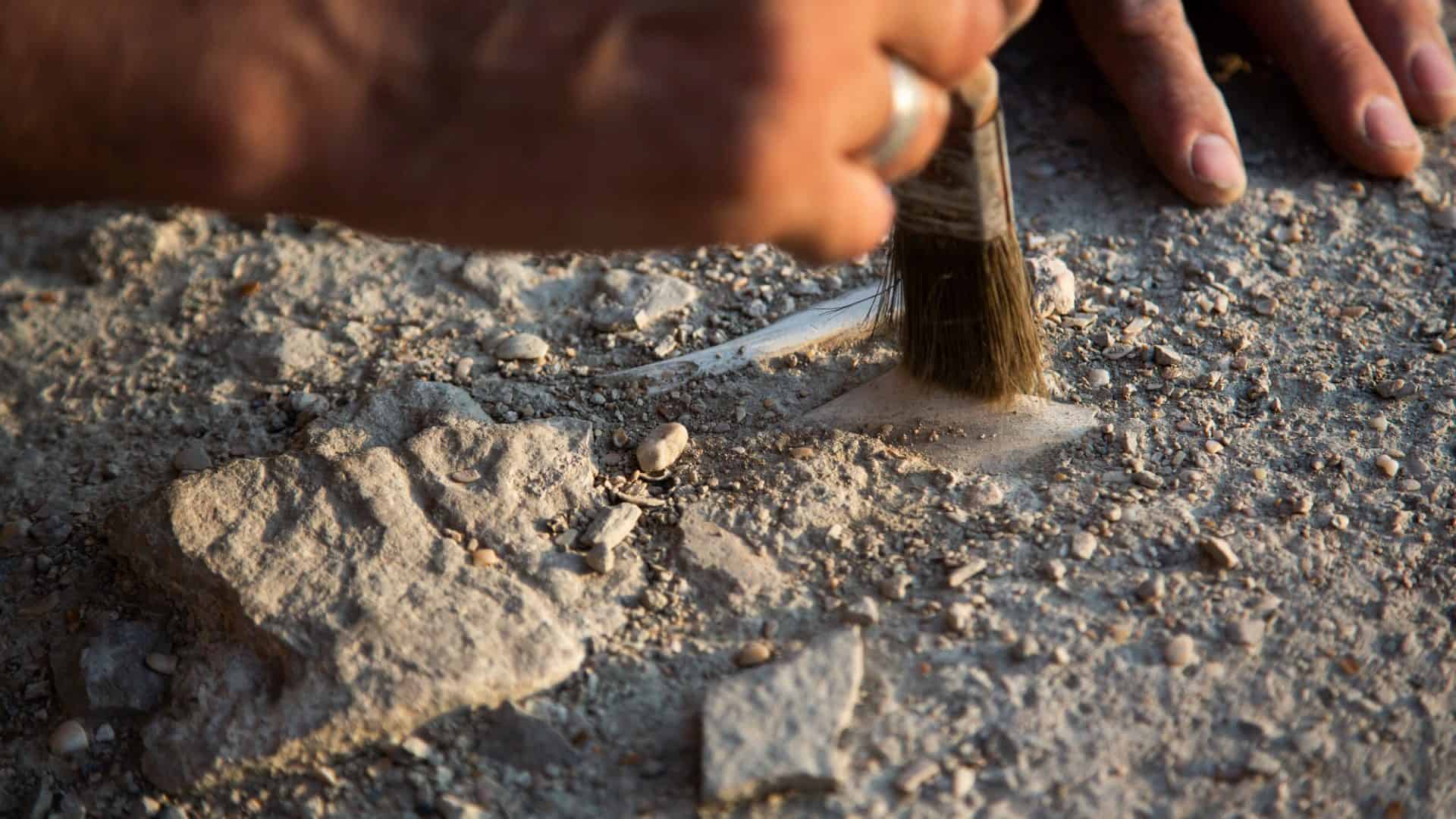 arqueologia