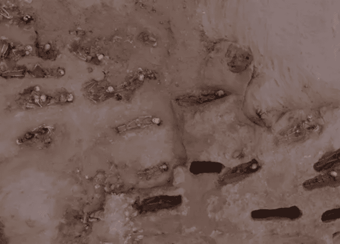 tumulo-1-695x500.png