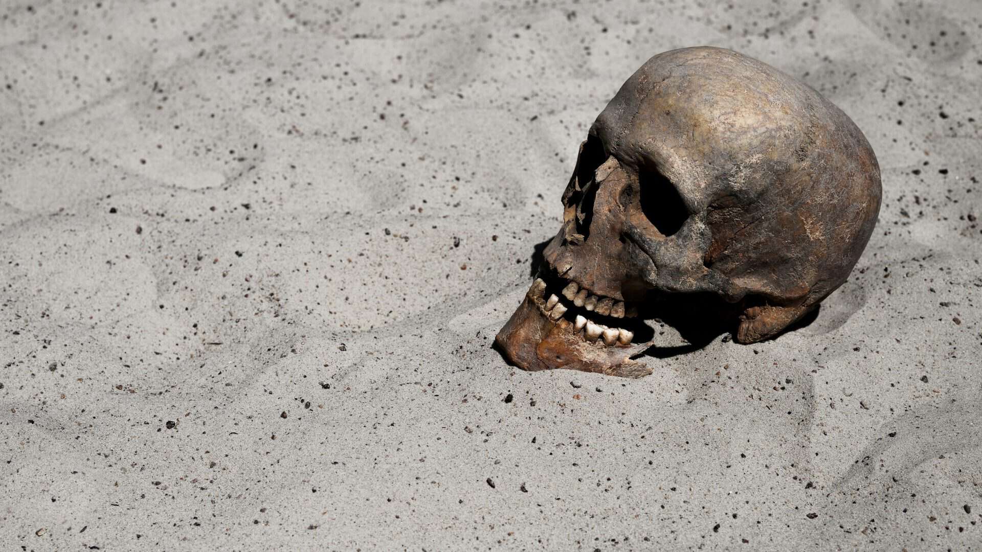 Crânio de uma pessoa na areia
