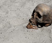 Crânio de uma pessoa na areia