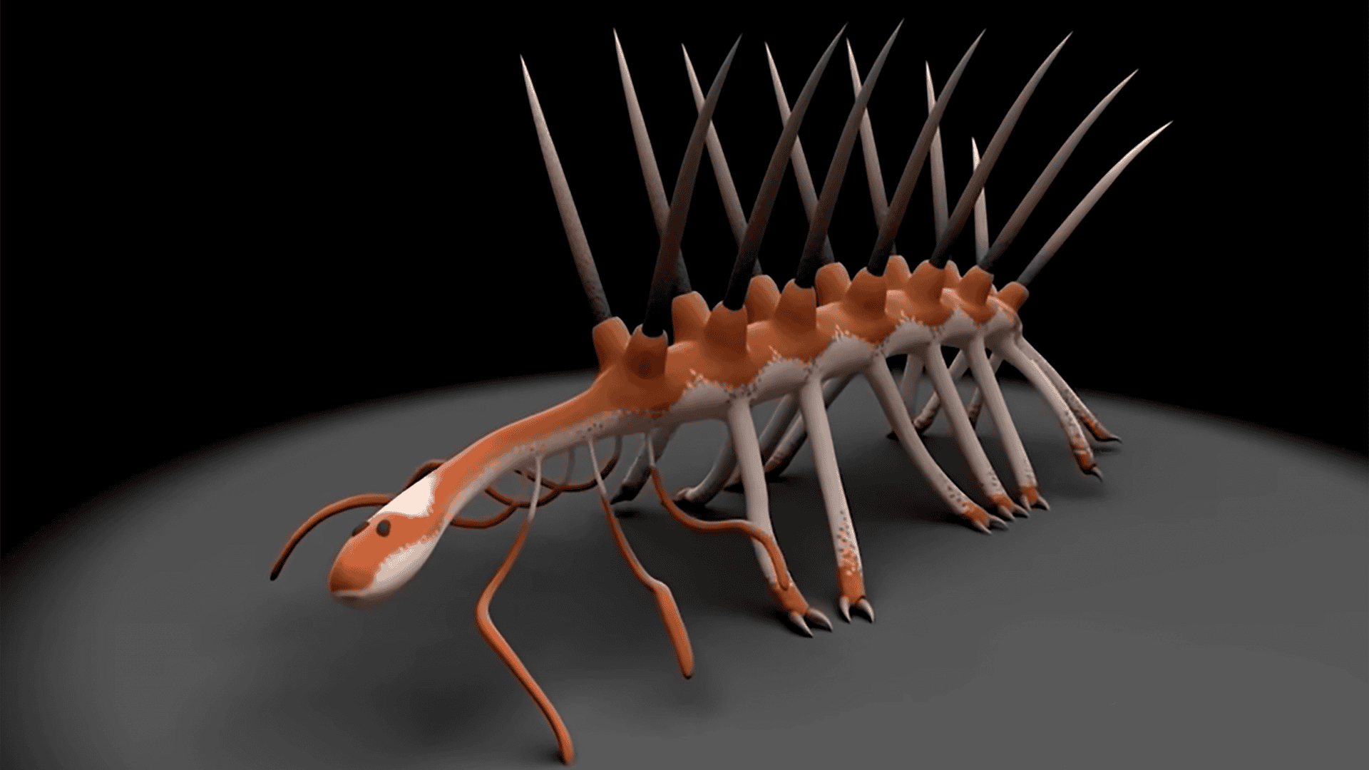 Hallucigenia