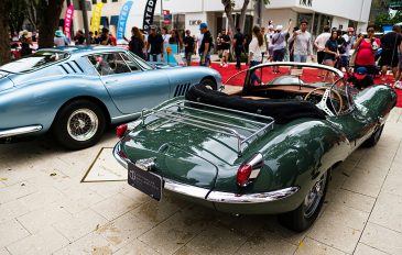 carro-mais-raro-mundo-1-365x232