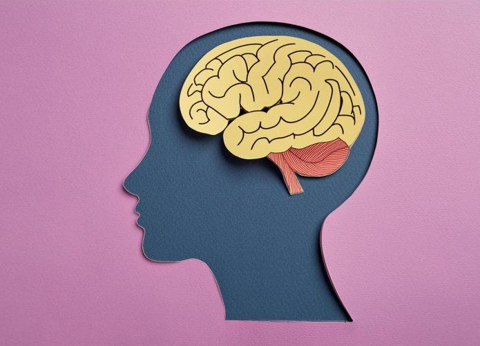 imagem mostra recortes e colagens que ilustram o cérebro humano e onde ele fica localizado na cabeça