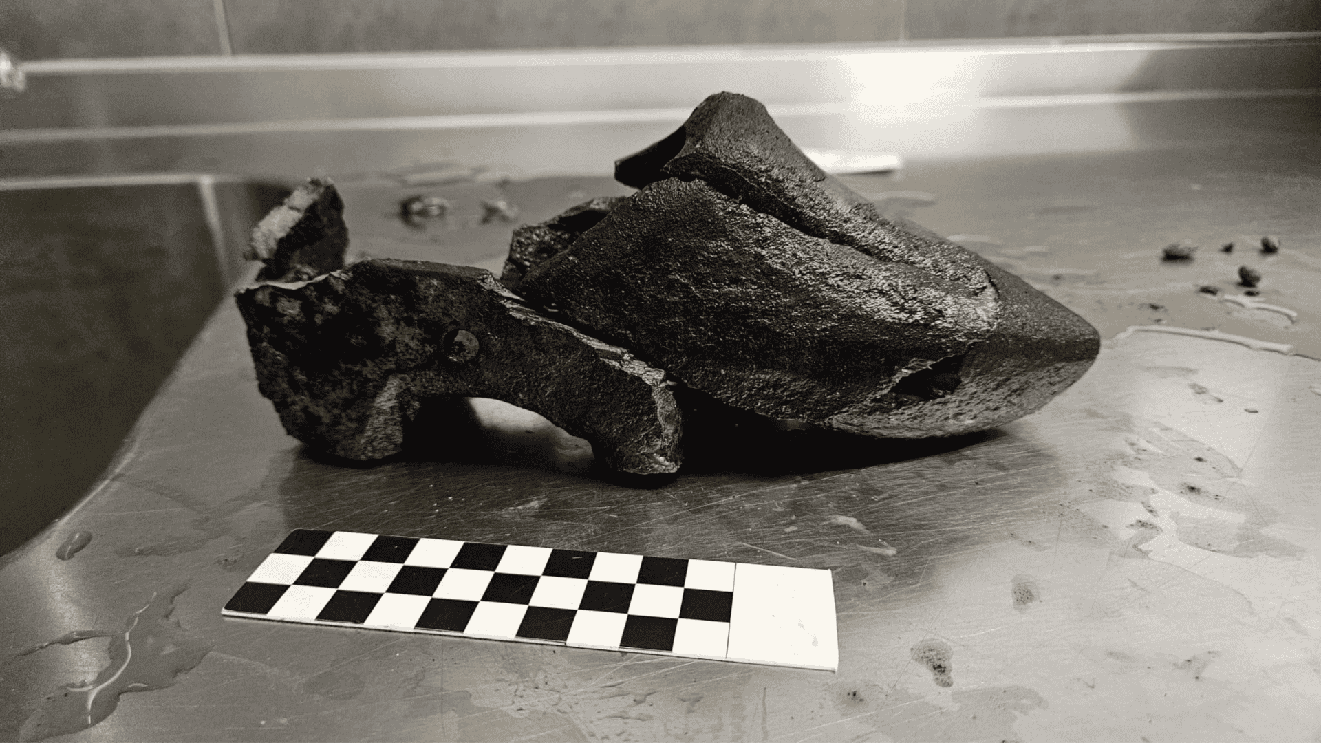 Vestígios de um sapato do século 15 achado numa cápsula do tempo arqueológica de 500 anos na Holanda