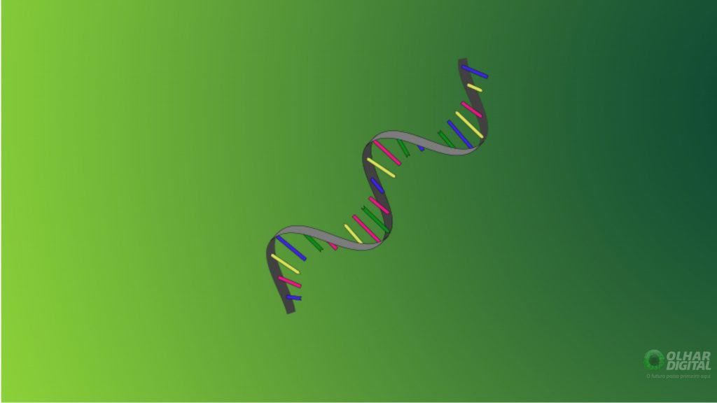 rna