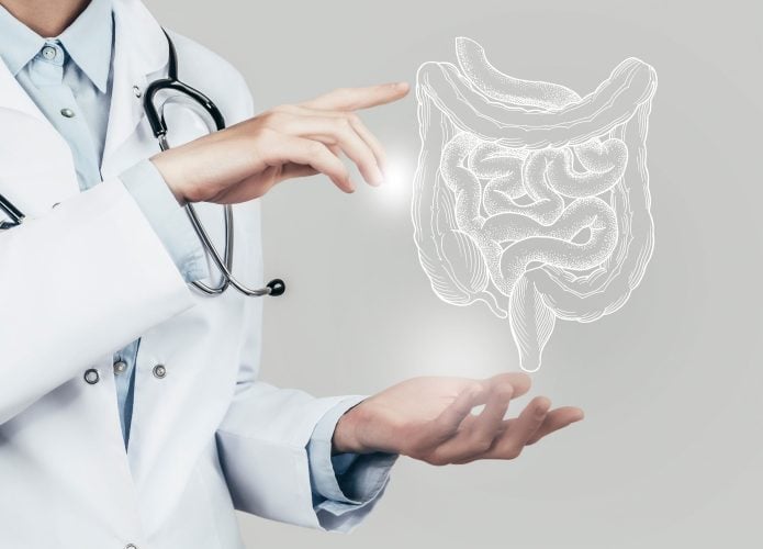 ilustração de um intestino sendo desenhado por um médico
