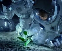 Astronautas vendo uma planta em crescer na Lua