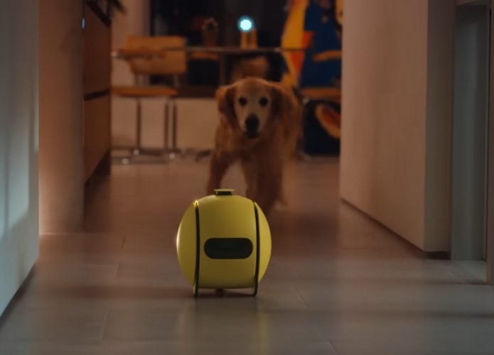 Robô sendo seguido por um cachorro