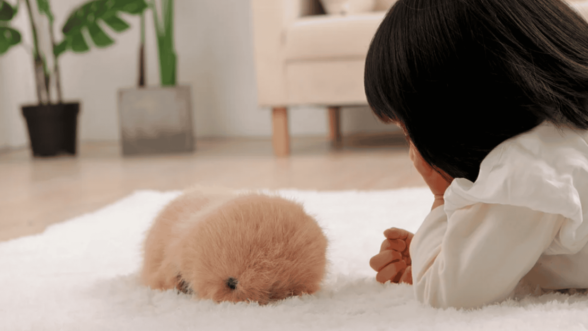 Captura-de-tela-2025-01-20-114058-1920x1080.png