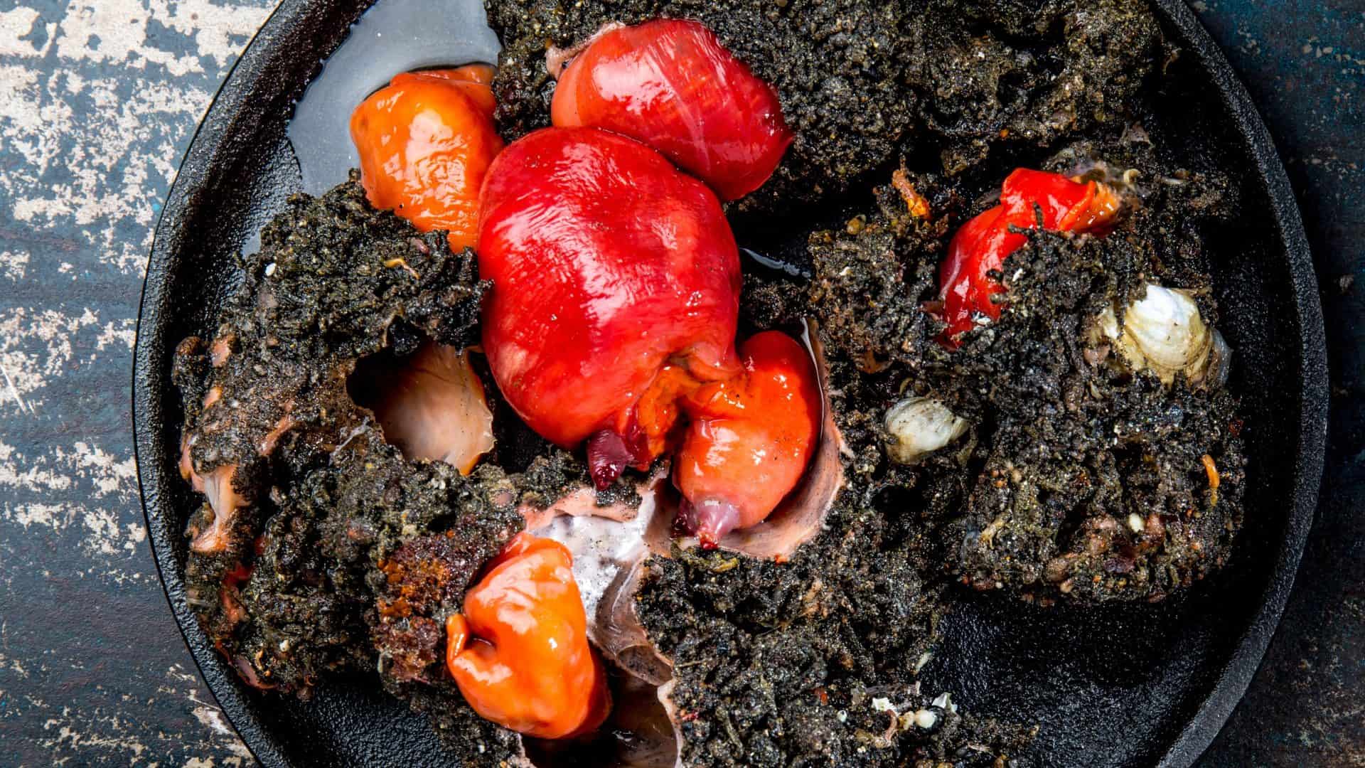 Prato com exemplares da espécie Pyura chilensis, que parece rocha viva com órgãos dentro