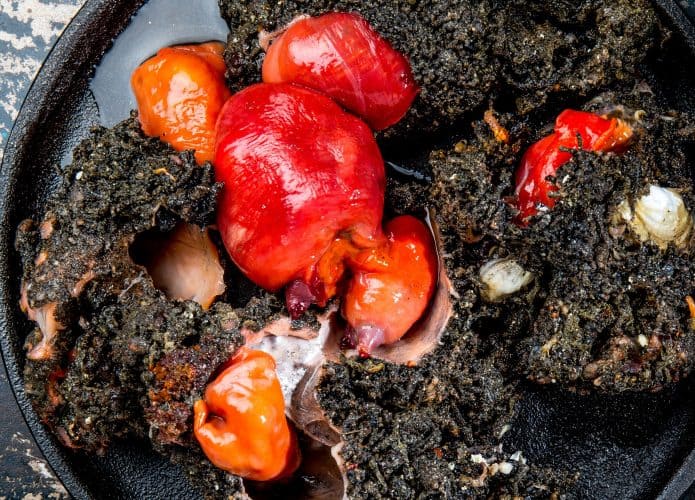 Prato com exemplares da espécie Pyura chilensis, que parece rocha viva com órgãos dentro