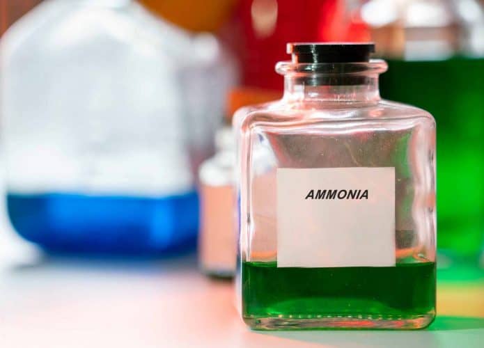 amônia