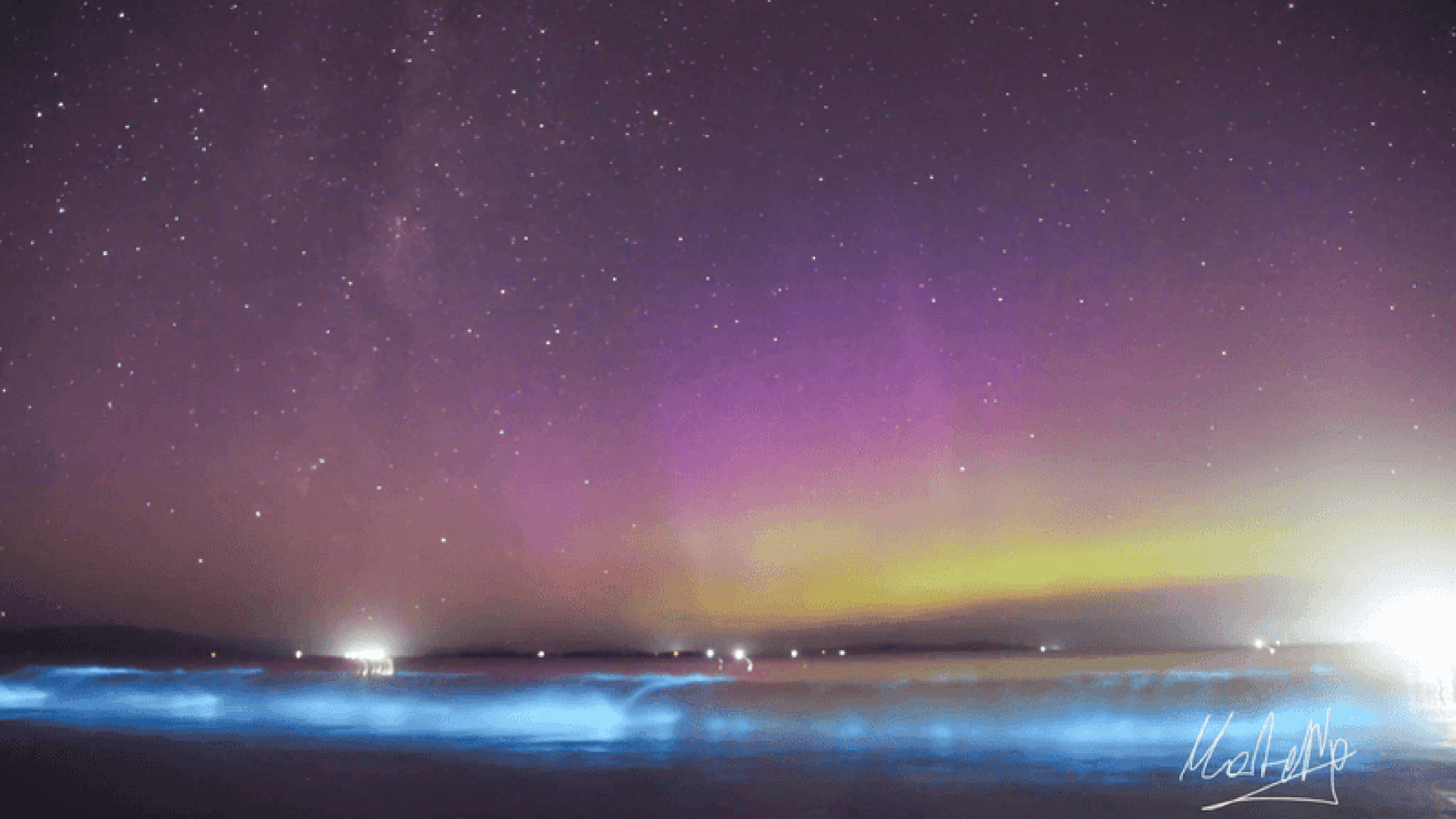 auroras-tasmania-3-1920x1080.png