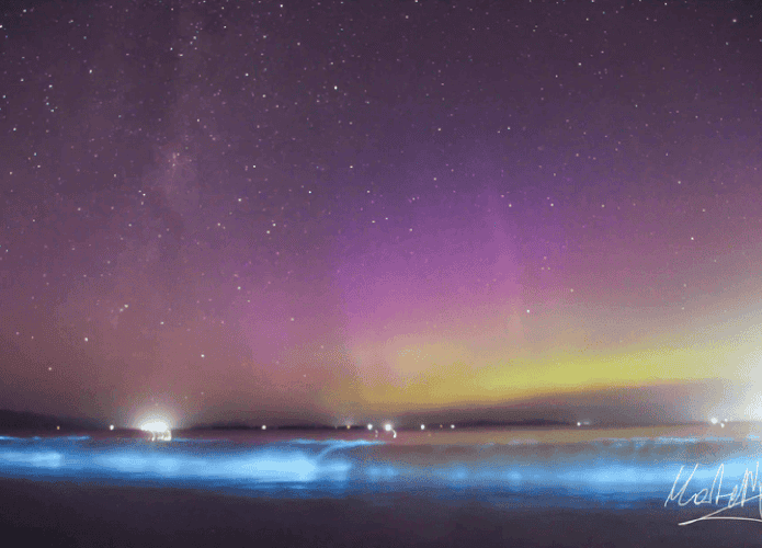 auroras-tasmania-3-695x500.png