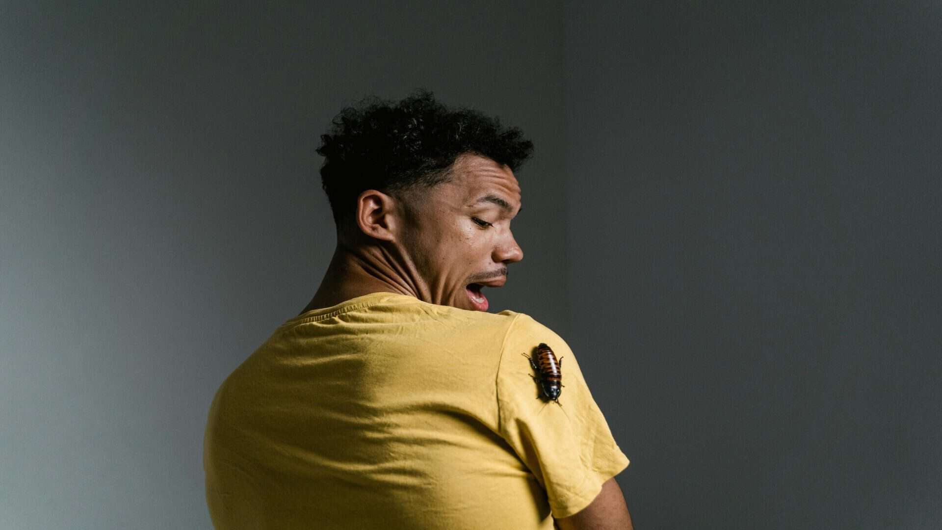 Imagem mostra barata subindo pelo braço de um homem assustado