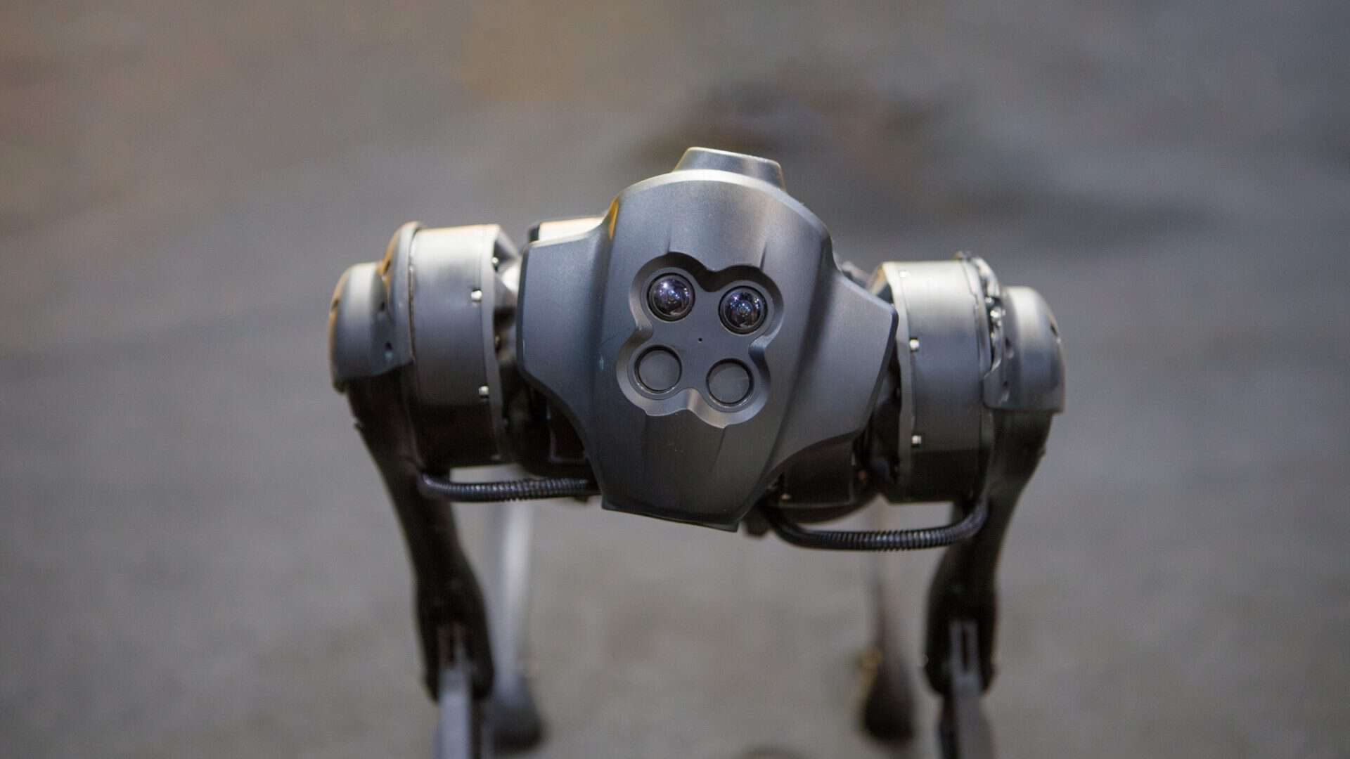 cao-robo-1920x1080