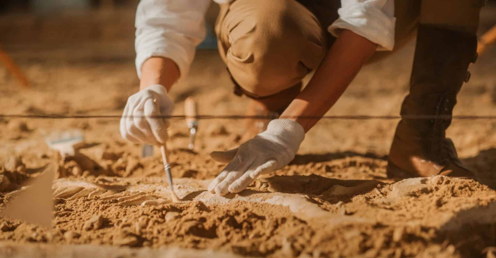 Imagem mostra o trabalho de arqueólogos.