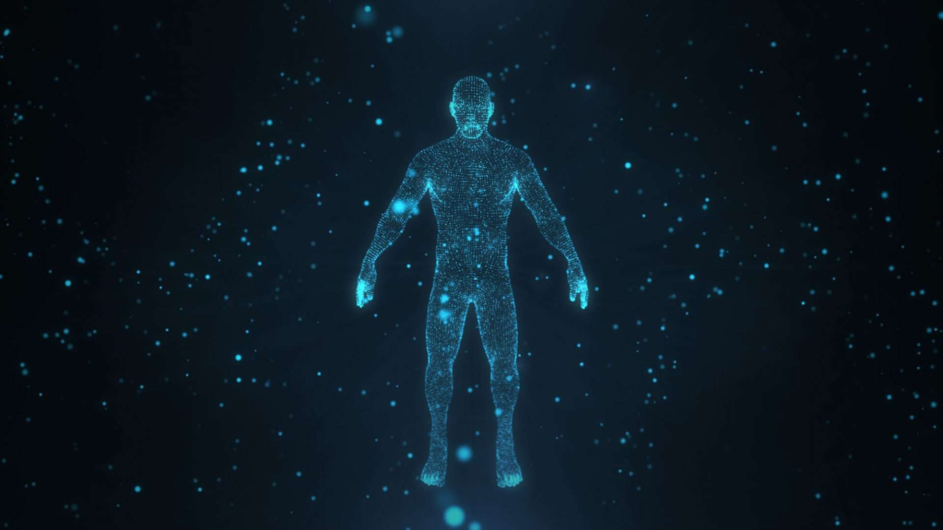 corpo humano