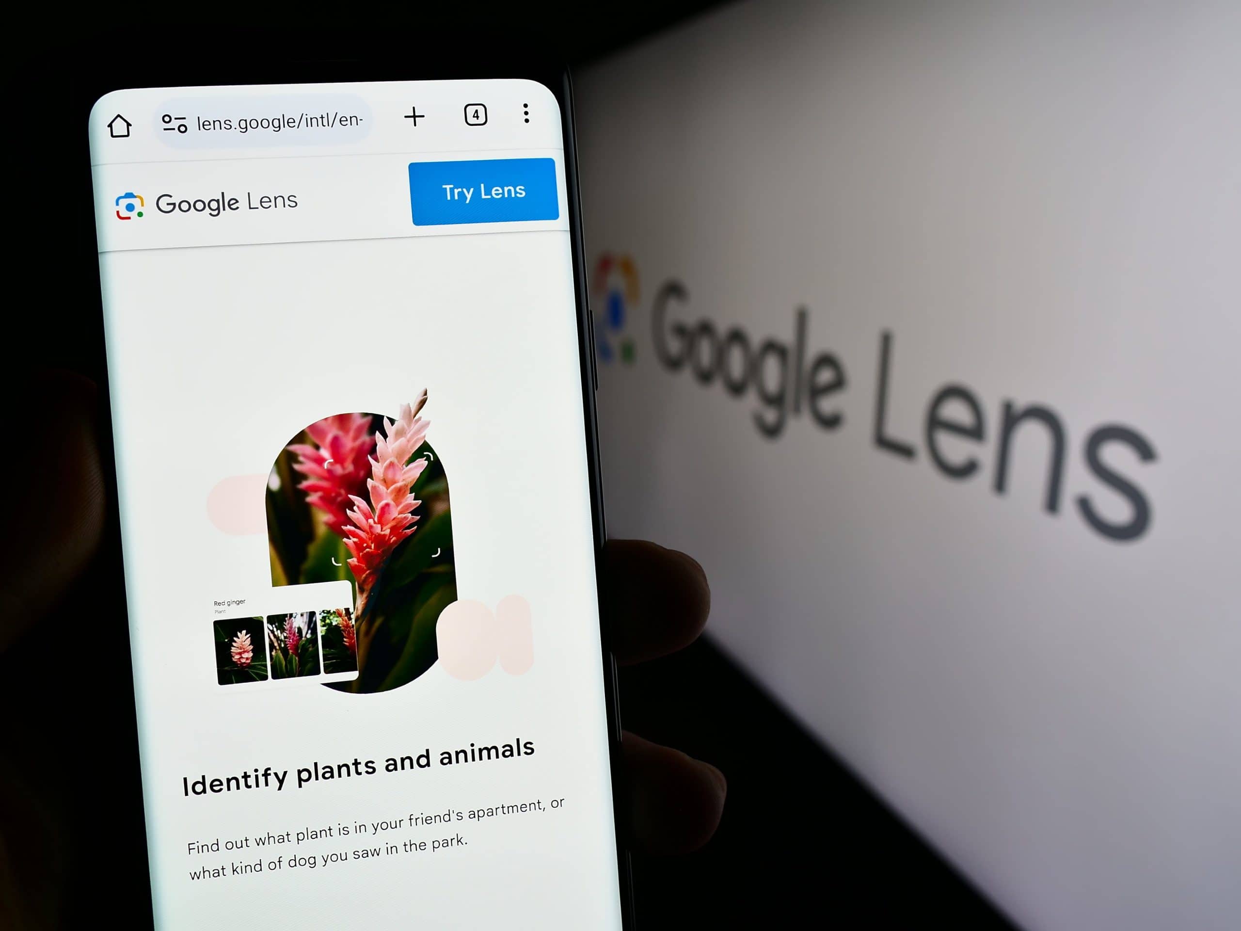 Google Lens 5 formas de utilizar o recurso para pesquisar na