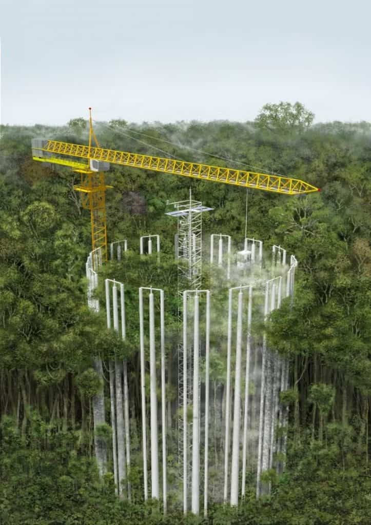 'Máquina do tempo' pode descobrir o destino da Amazônia