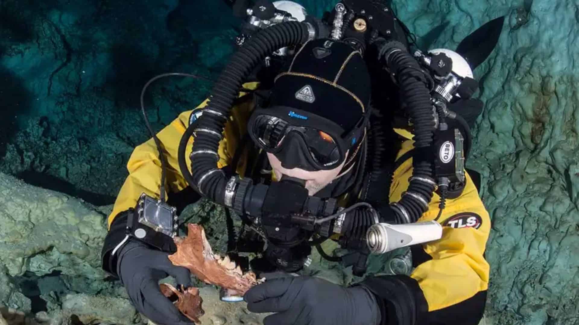 Mergulhador encontrando fósseis em caverna no México