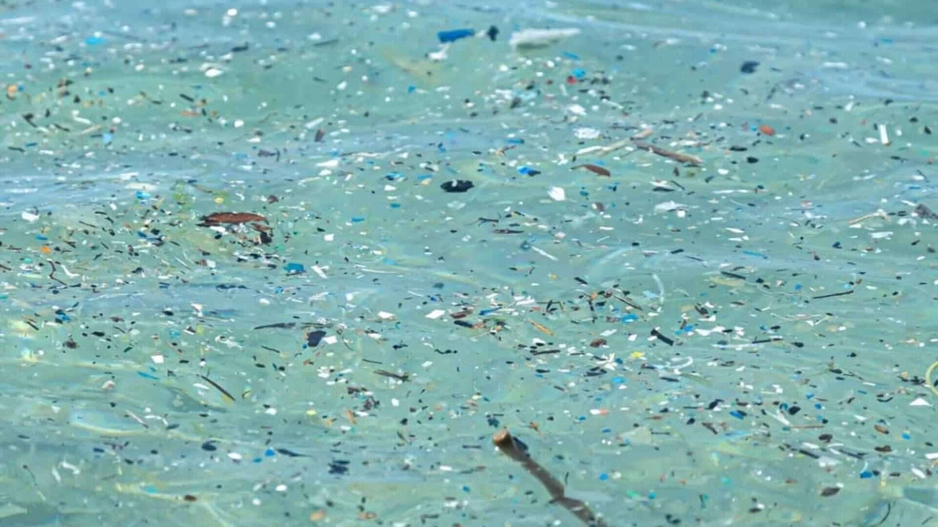 microplasticos-oceano-1-1-1920x1080