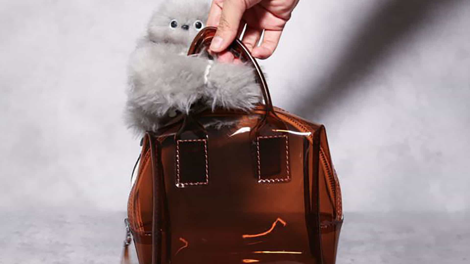 Mirumi agarrado a uma bolsa que está na mão de uma pessoa