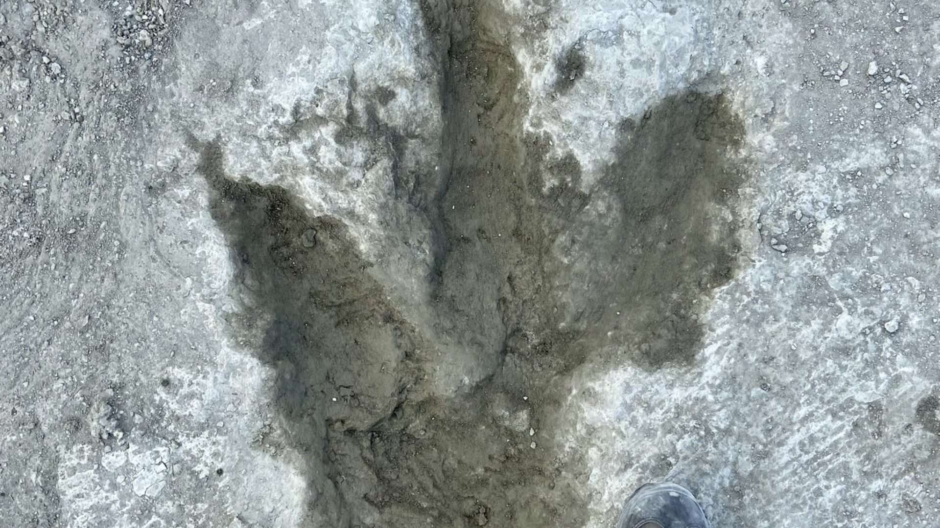 pegada-dinossauro-1-1920x1080