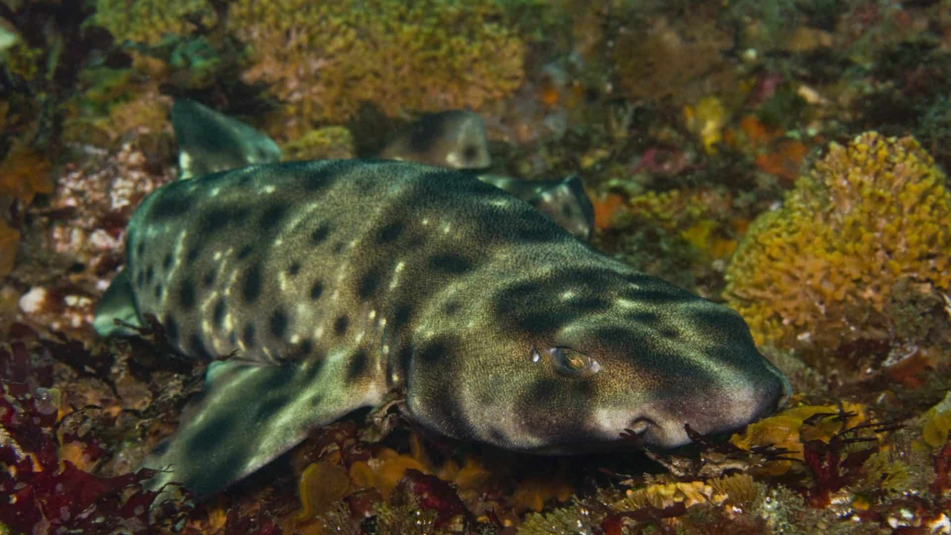 shutterstock_16631029-1-1920x1080
