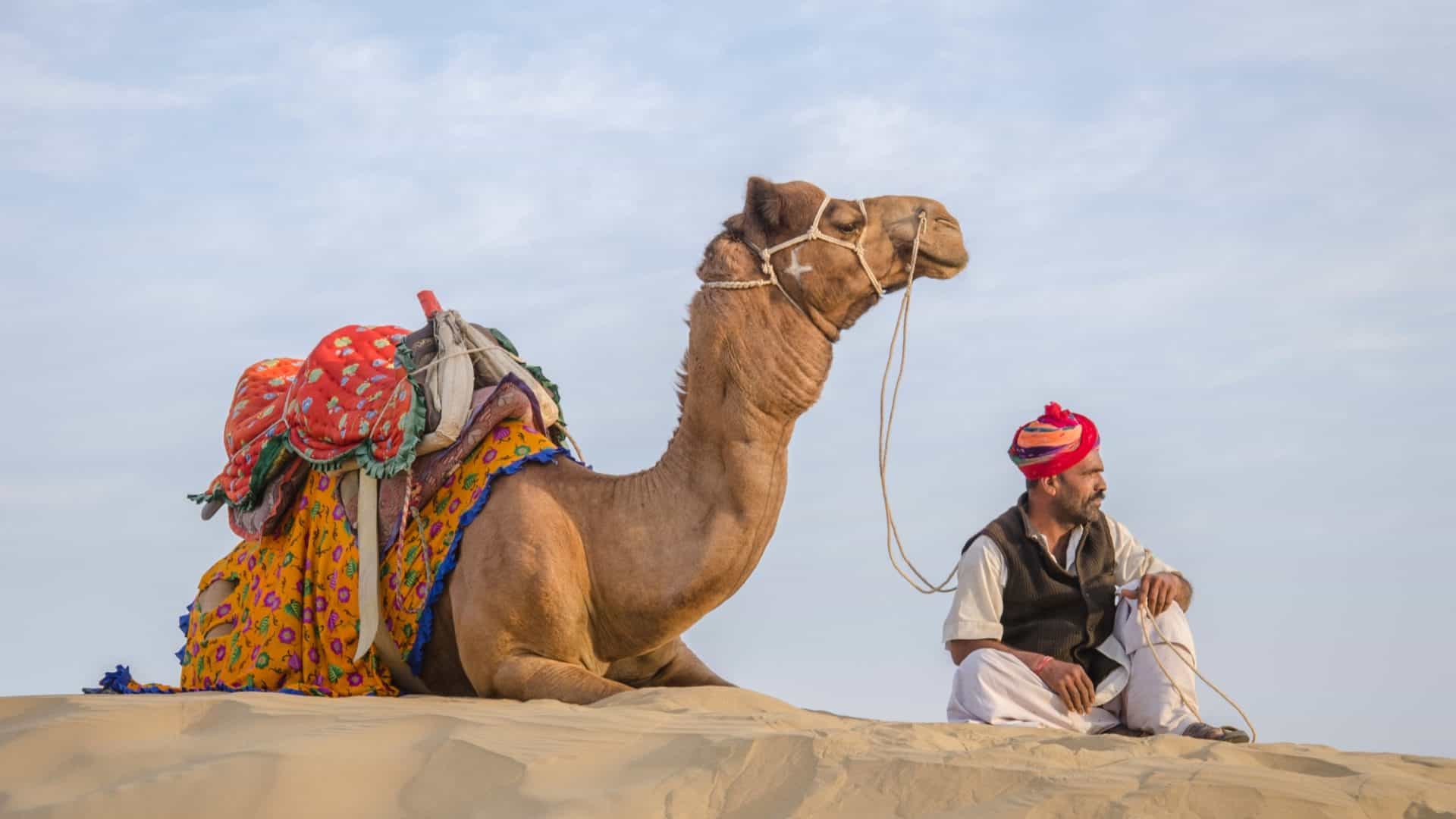 shutterstock_2501709887-1-1920x1080