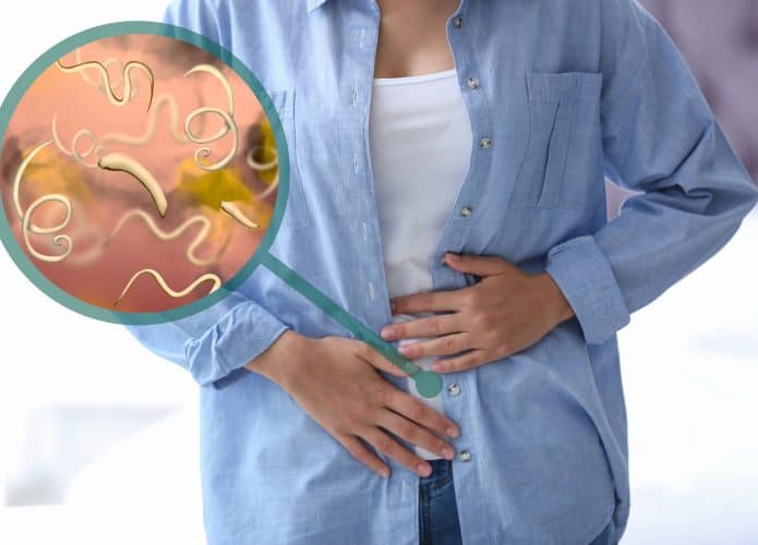 vermes-intestinais-1-695x500