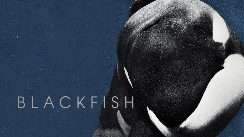 Blackfish (2013)