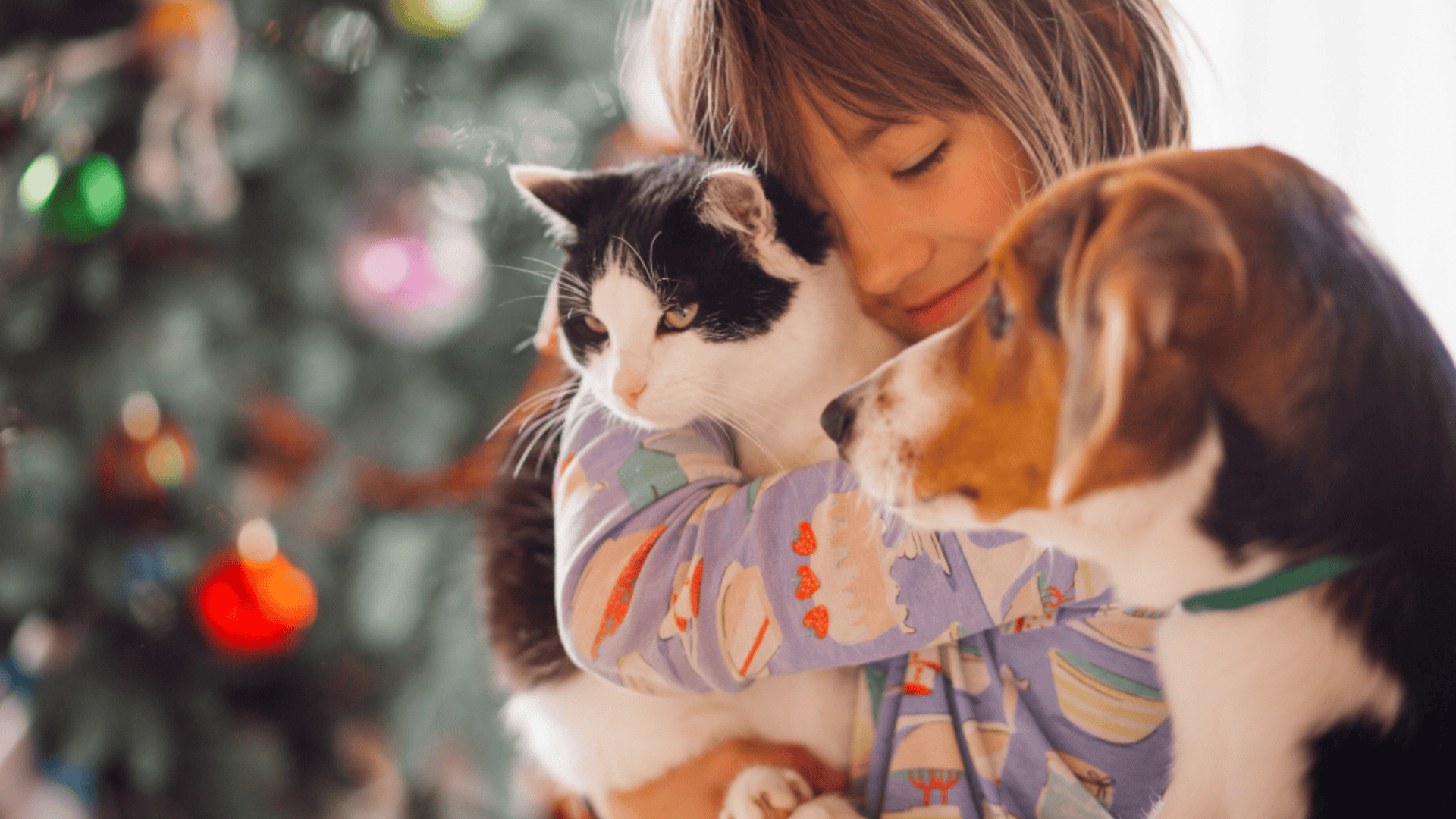 Menina com cão e gato