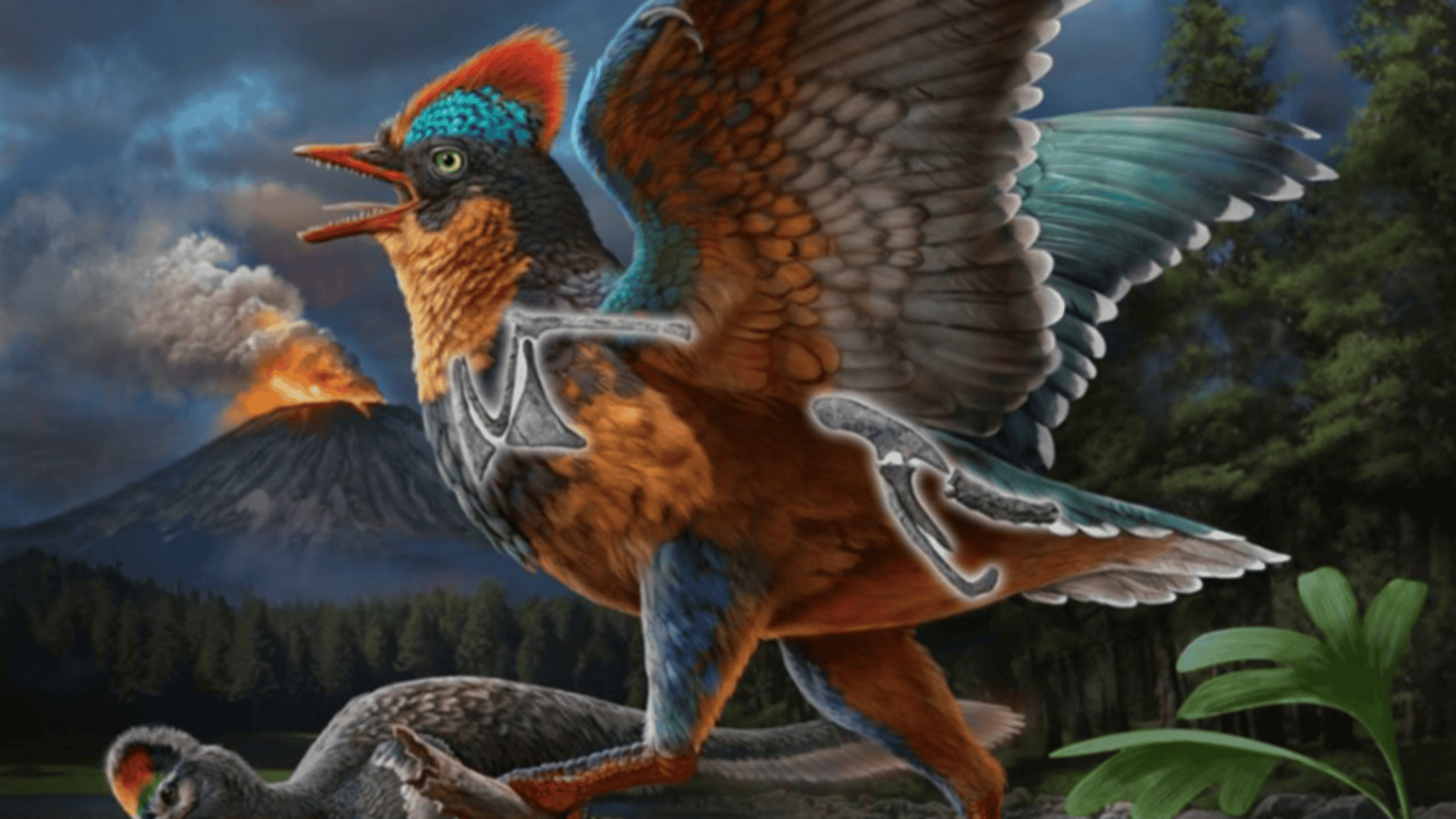 Baminornis-zhenghensis-1-1920x1080.png