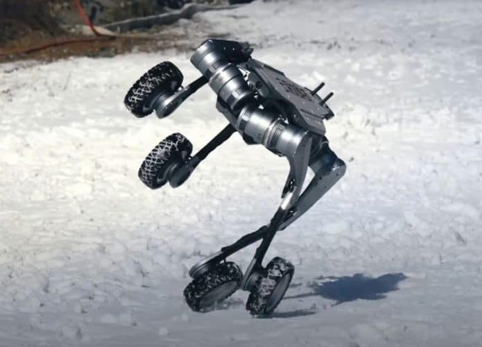 Linx fazendo uma manobra na neve
