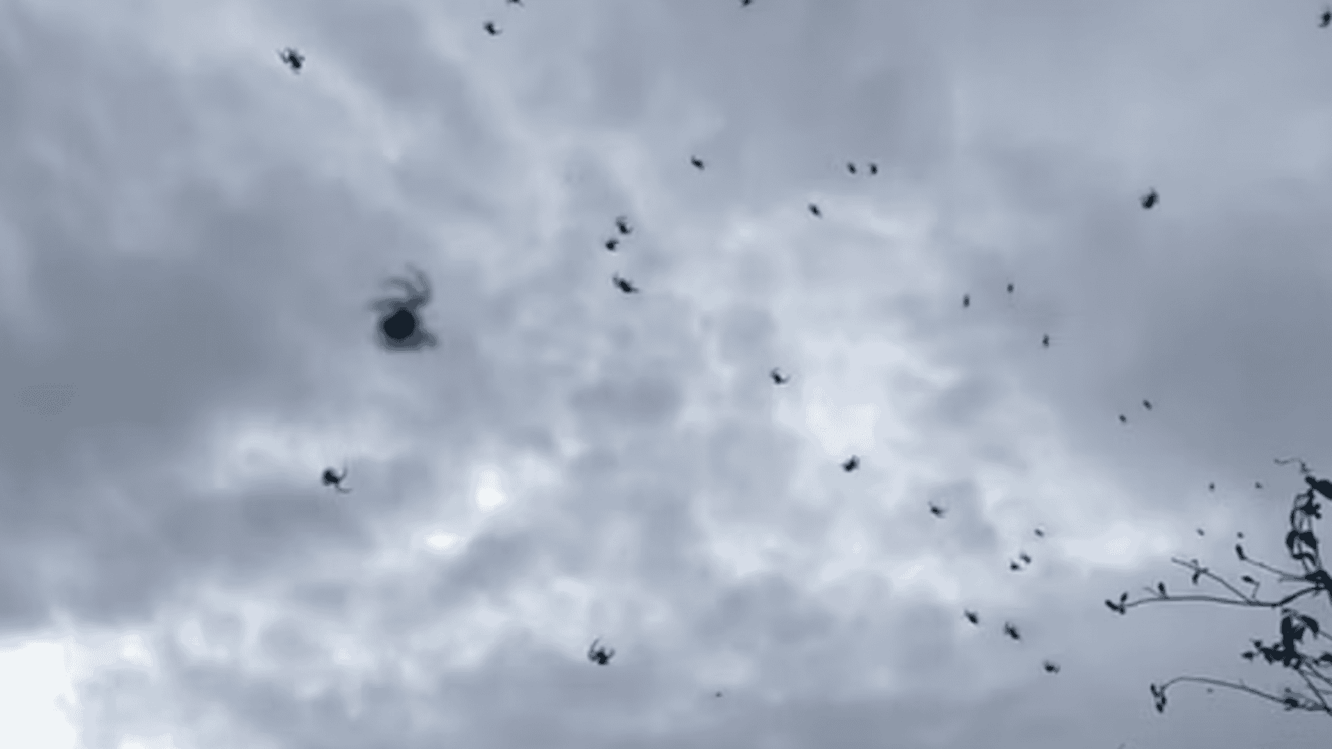 Captura-de-tela-2025-02-07-151010-1920x1080.png