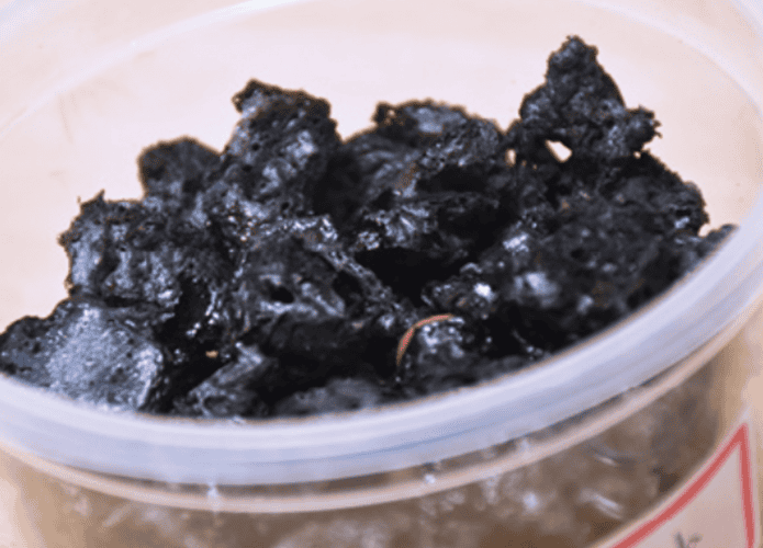 Composto em uma pequena bacia
